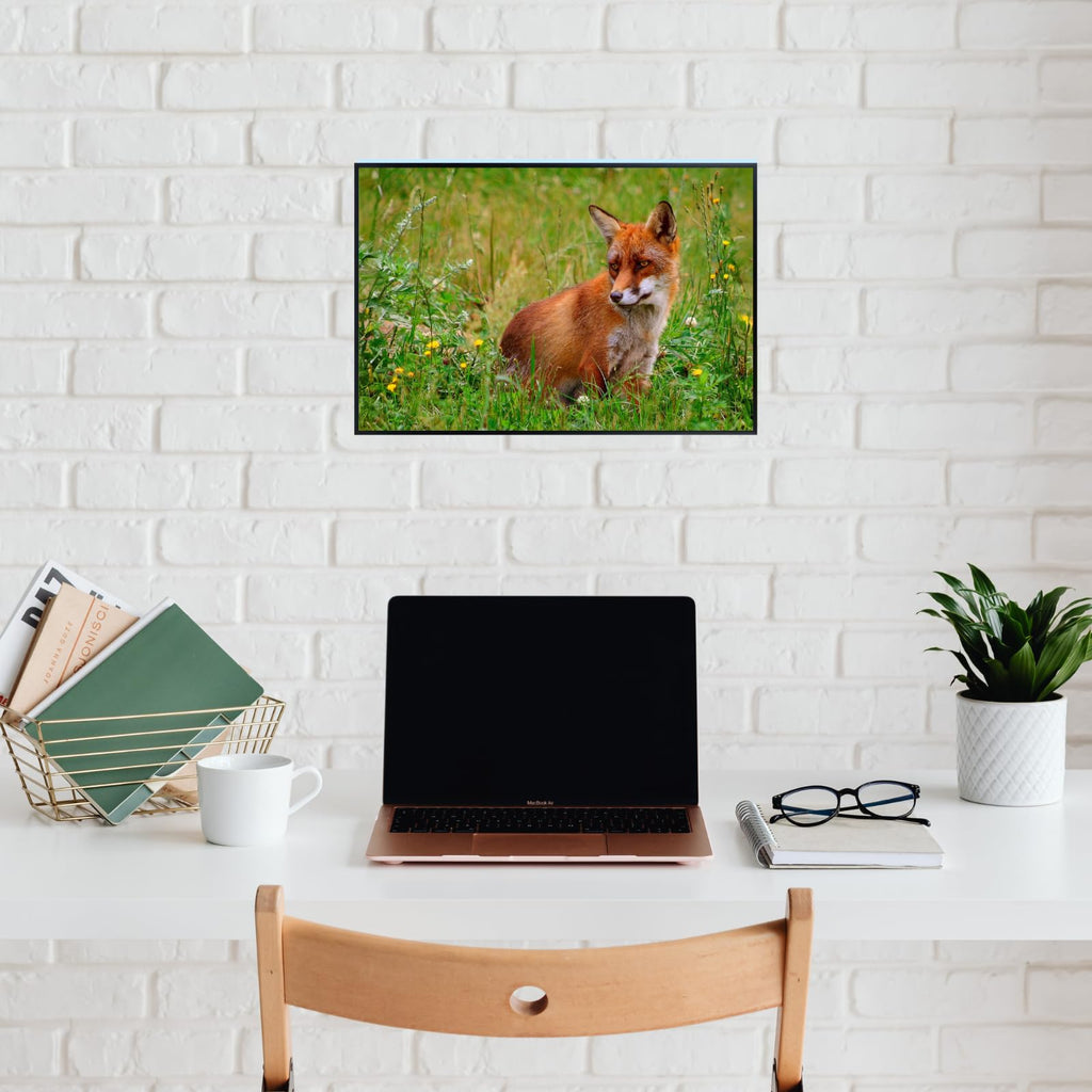 Wildlife Rod Raev Fox Poster – Nature Wall Art Print for Home, Office, Bedroom, or Study Spaces