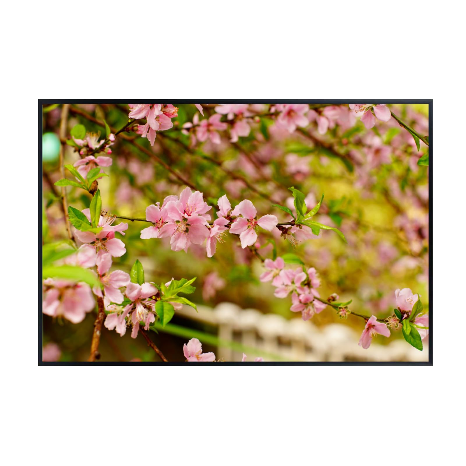 Flowering Cherry Tree Wall Art Poster – Botanical Bloom Print for Home Decor, Nature Art for Living Room, Bedroom, or Office – Elegant Floral Art Print
