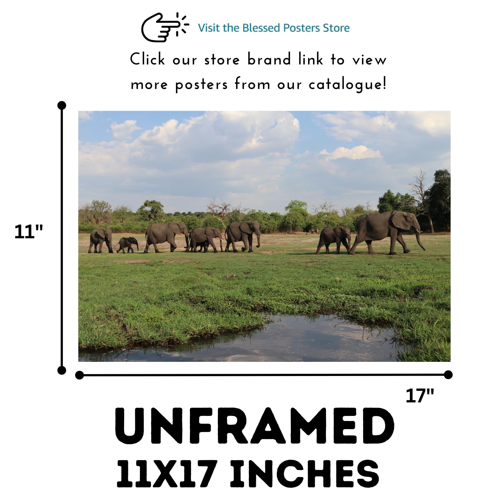 Chobe River Elephant Poster – Safari Wildlife Wall Art for Home, Living Room, Bedroom, or Office Décor