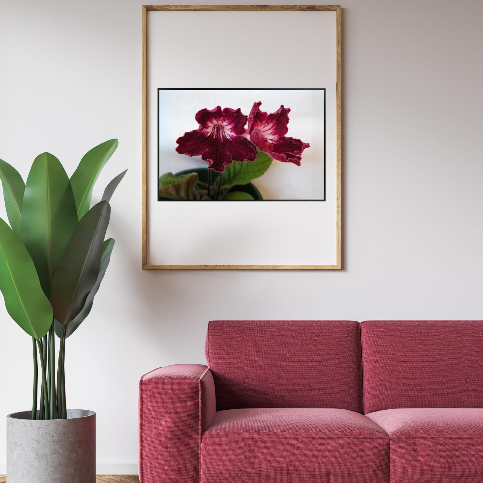 Streptocarpus Red Ladyslippers Flower Poster – Botanical Wall Art Print for Home Decor, Nature-Inspired Floral Artwork for Living Room, Bedroom, or Office Decoration