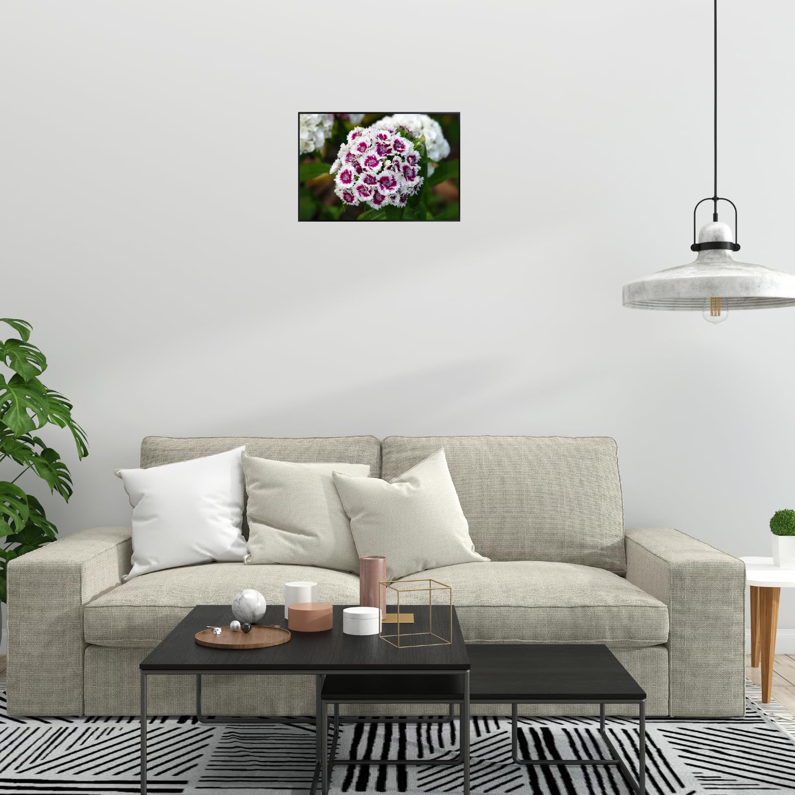 Dianthus Barbatus Wall Art Poster – Sweet William Floral Botanical Print, Elegant Colorful Home Decor for Living Room, Bedroom, or Office