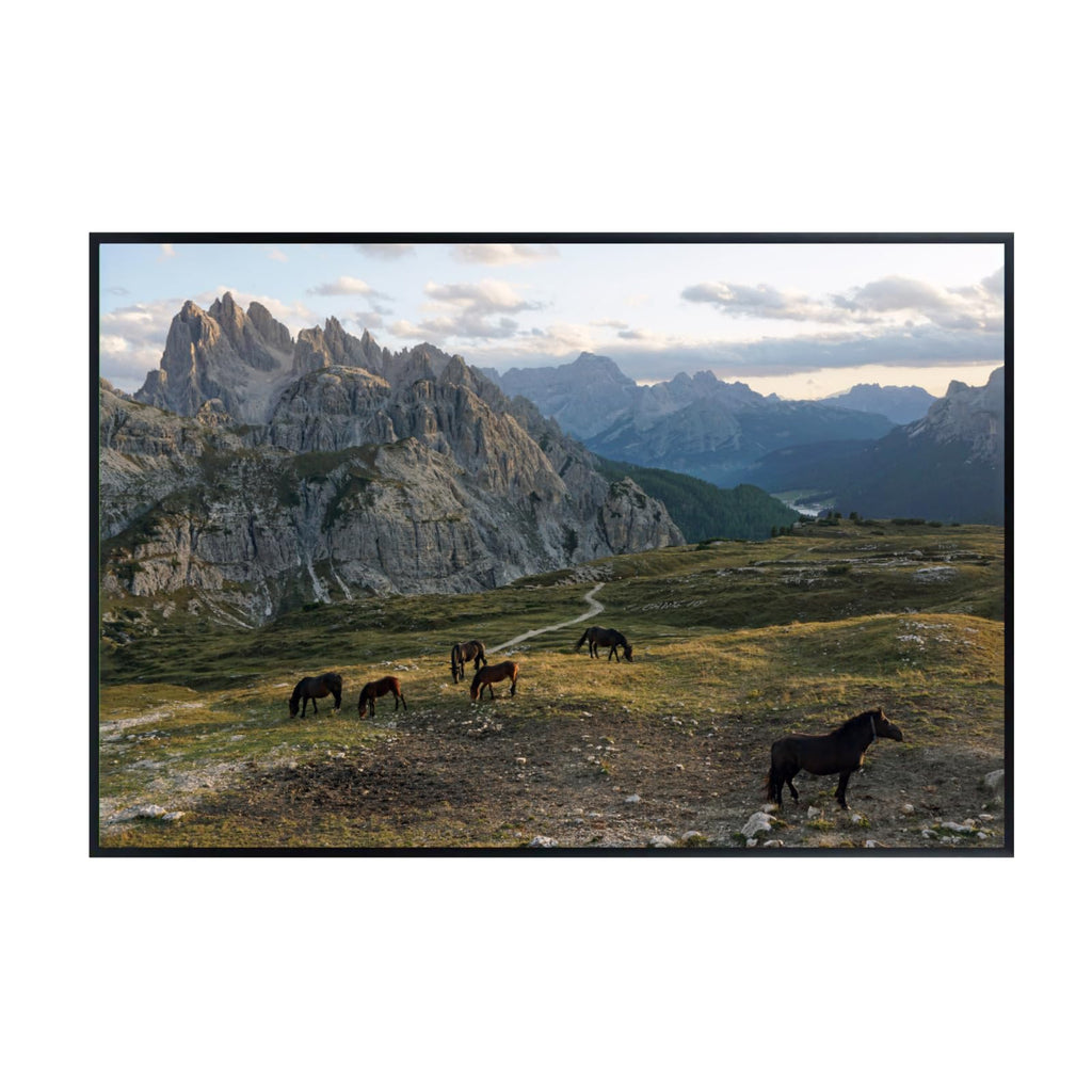 Cime Horses Poster – Nature Wildlife Wall Art Print for Living Room, Bedroom, Office, or Home Decor