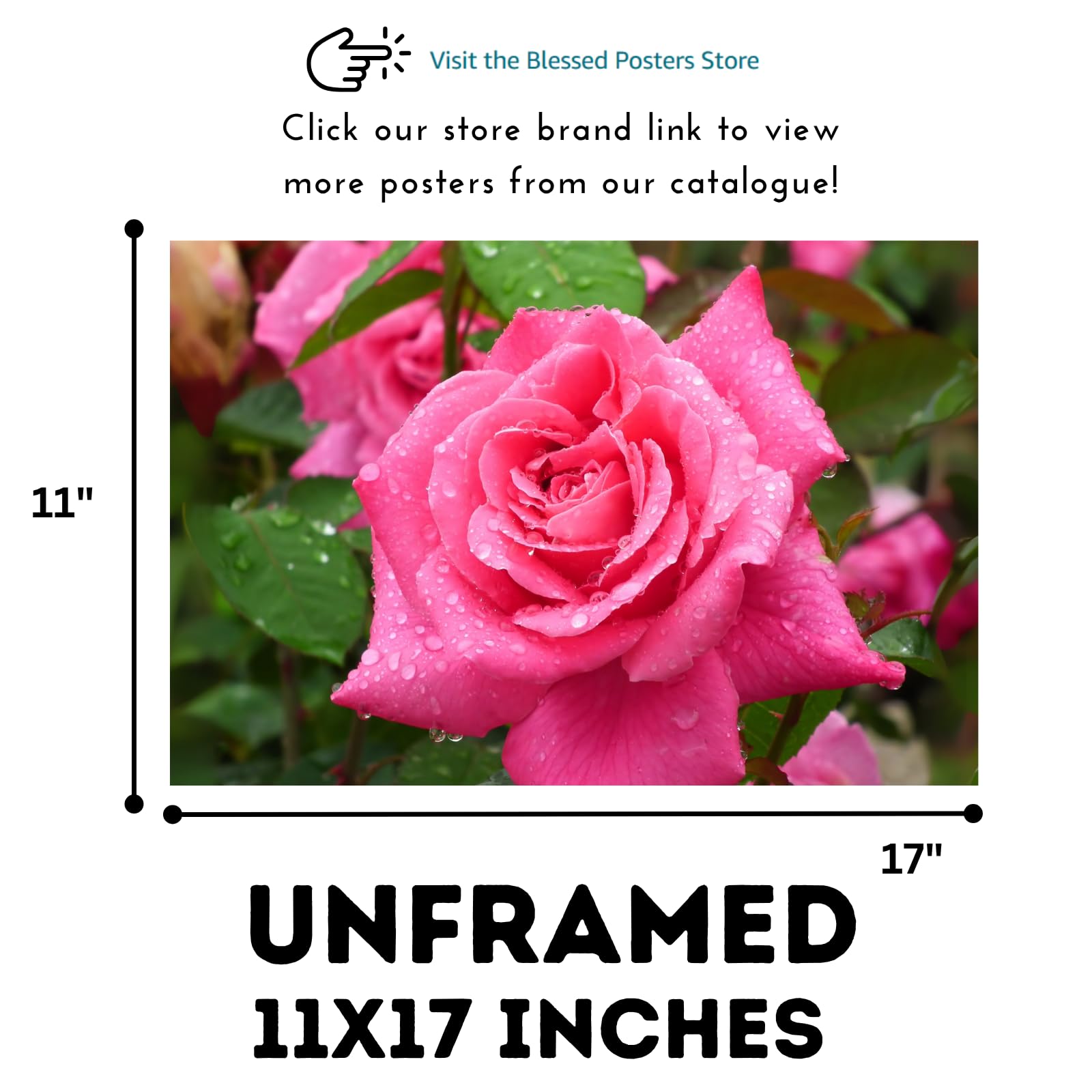 Elegant Hybrid Tea Rose Wall Art Poster – Home Decor Botanical Print for Living Room, Bedroom, Office Wall Decor