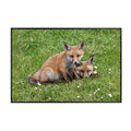 Wild Red Fox Wall Art – Nature Wildlife Poster Print for Bedroom, Living Room, Office, or Study Décor