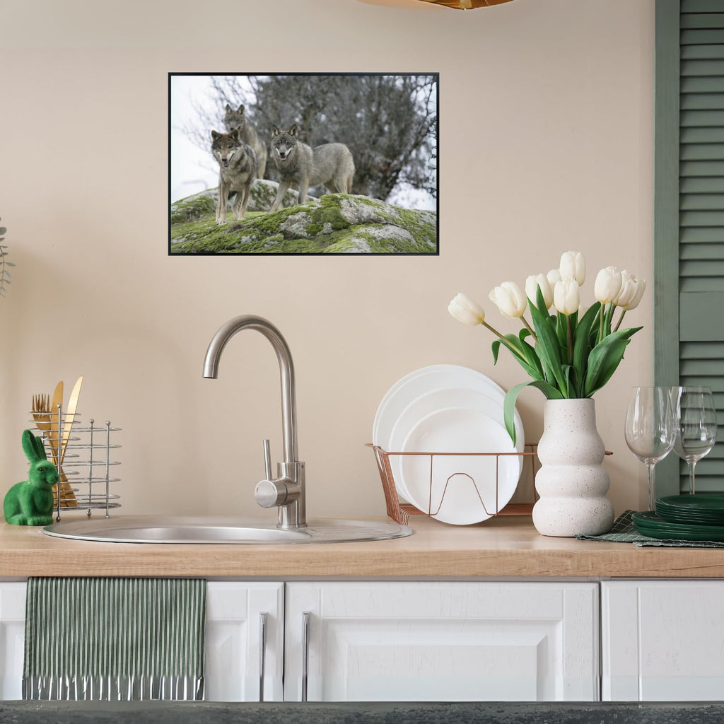 Signatus Wolf Artwork Poster – Nature Wildlife Wall Art Print for Bedroom, Living Room, Office, or Home Décor