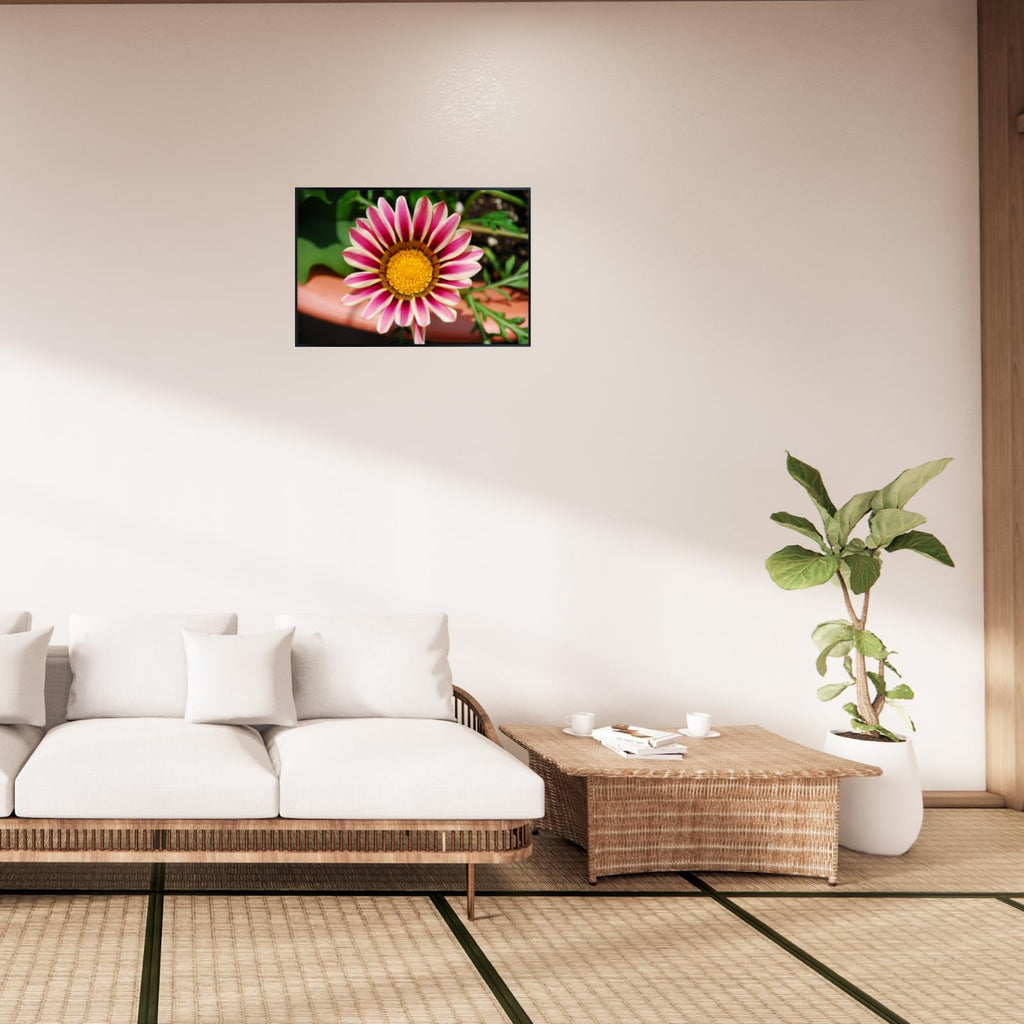 Pale White and Violet Tiger Gazania Flower Wall Art Poster – Botanical Floral Print for Home Decor, Living Room, Bedroom, Office – Aesthetic Nature Artwork