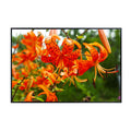 Tiger Lily Flower Poster – Botanical Wall Art for Home Decor, Nature Print, Floral Artwork for Bedroom, Living Room, Office
