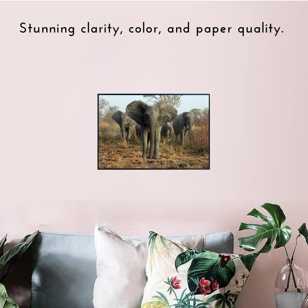 Elephant Poster – African Wildlife Wall Art Print – Safari Animal Decor for Living Room, Bedroom, Office, or Kids Room – Gift for Nature and Animal Lovers