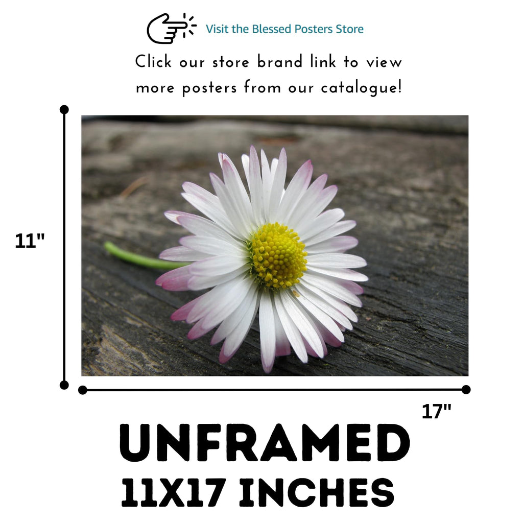 Pink Winged Daisy Wall Art Poster – Floral Home Decor for Bedroom, Living Room, Office, and Nursery – Modern Botanical Print for Nature Lovers