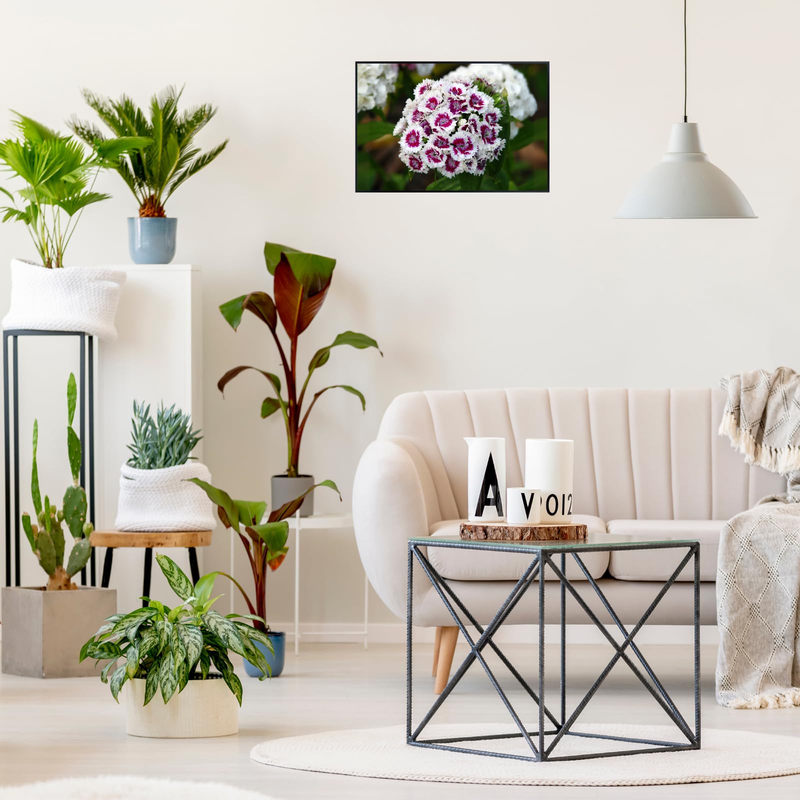 Dianthus Barbatus Wall Art Poster – Sweet William Floral Botanical Print, Elegant Colorful Home Decor for Living Room, Bedroom, or Office