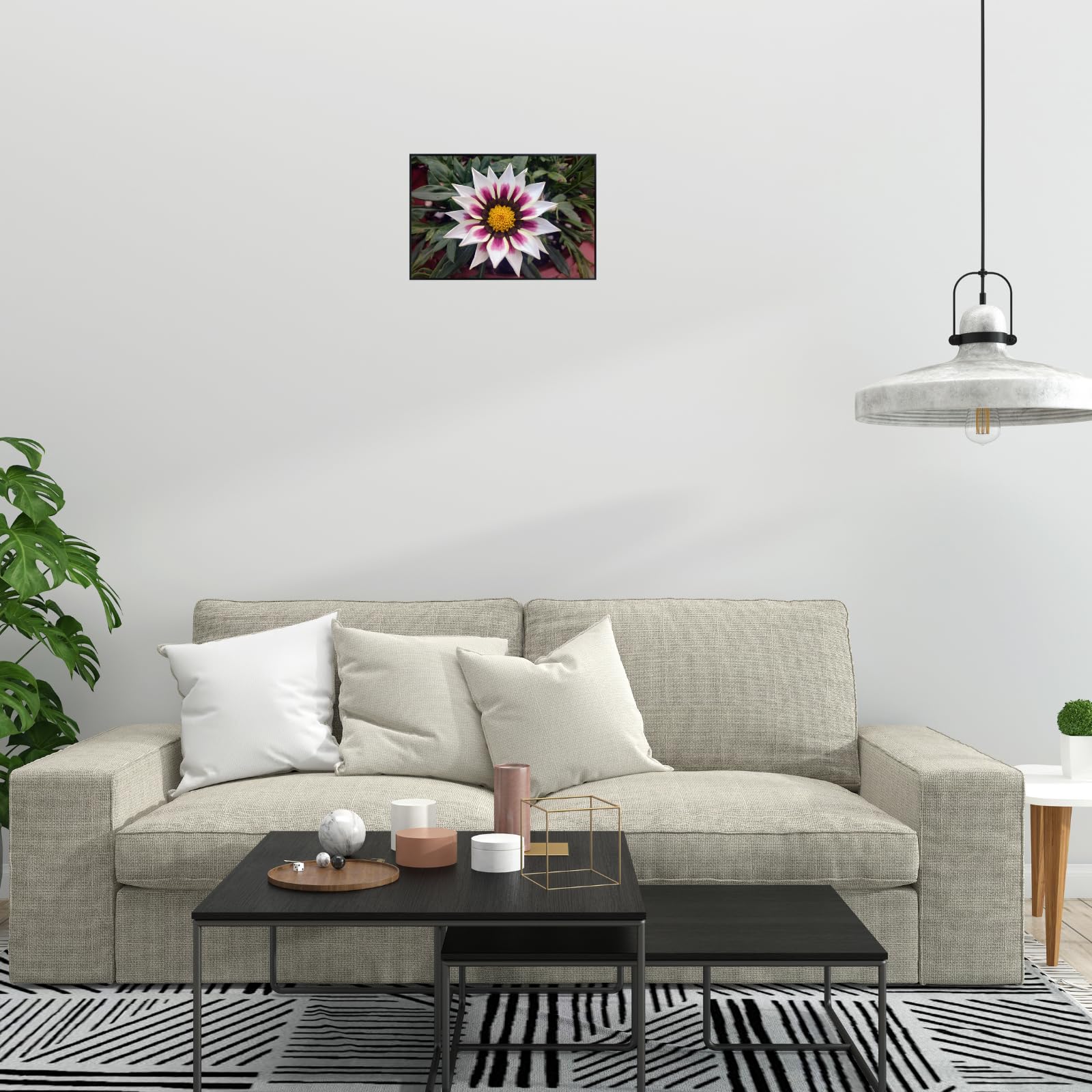 Gazania ‘Big Kiss White Flame’ Wall Art Poster – Vibrant Floral Botanical Print, Colorful Flower Home Decor for Living Room, Bedroom, or Office