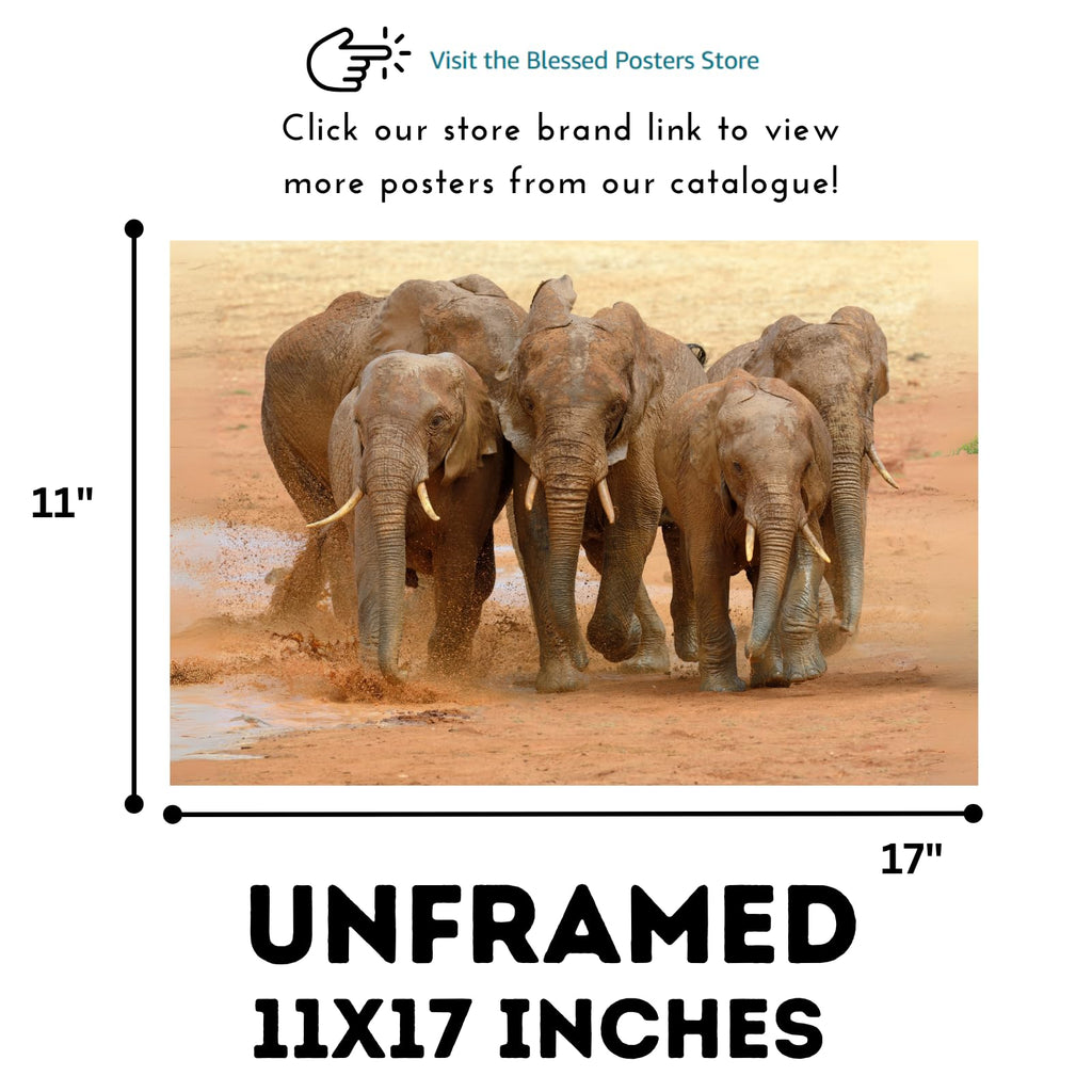 Wildlife Running Elephant Wall Art Poster – Safari Animal Print for Home, Living Room, Bedroom, or Office Décor