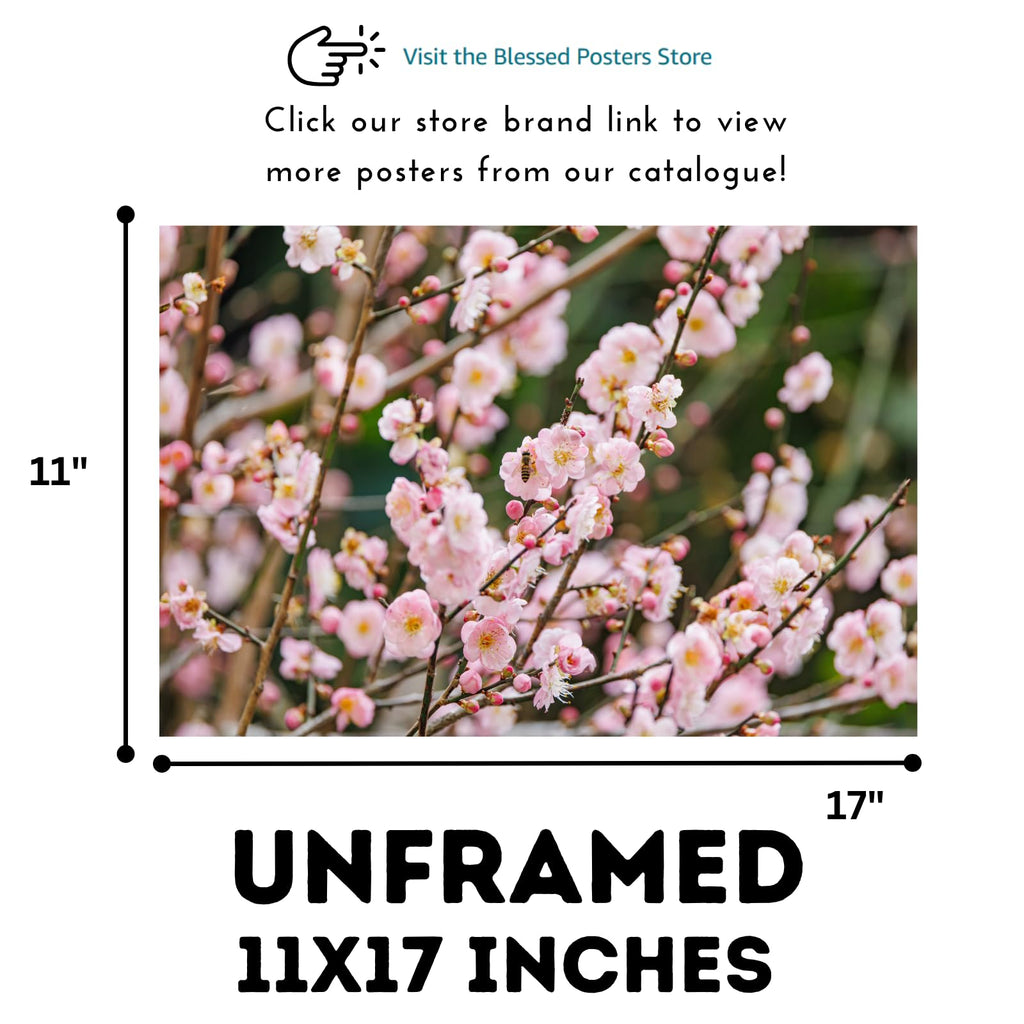 Pink Prunus Poster – Cherry Blossom Botanical Wall Art Print for Home Decor, Living Room, Bedroom, or Office – Elegant Floral Nature Artwork