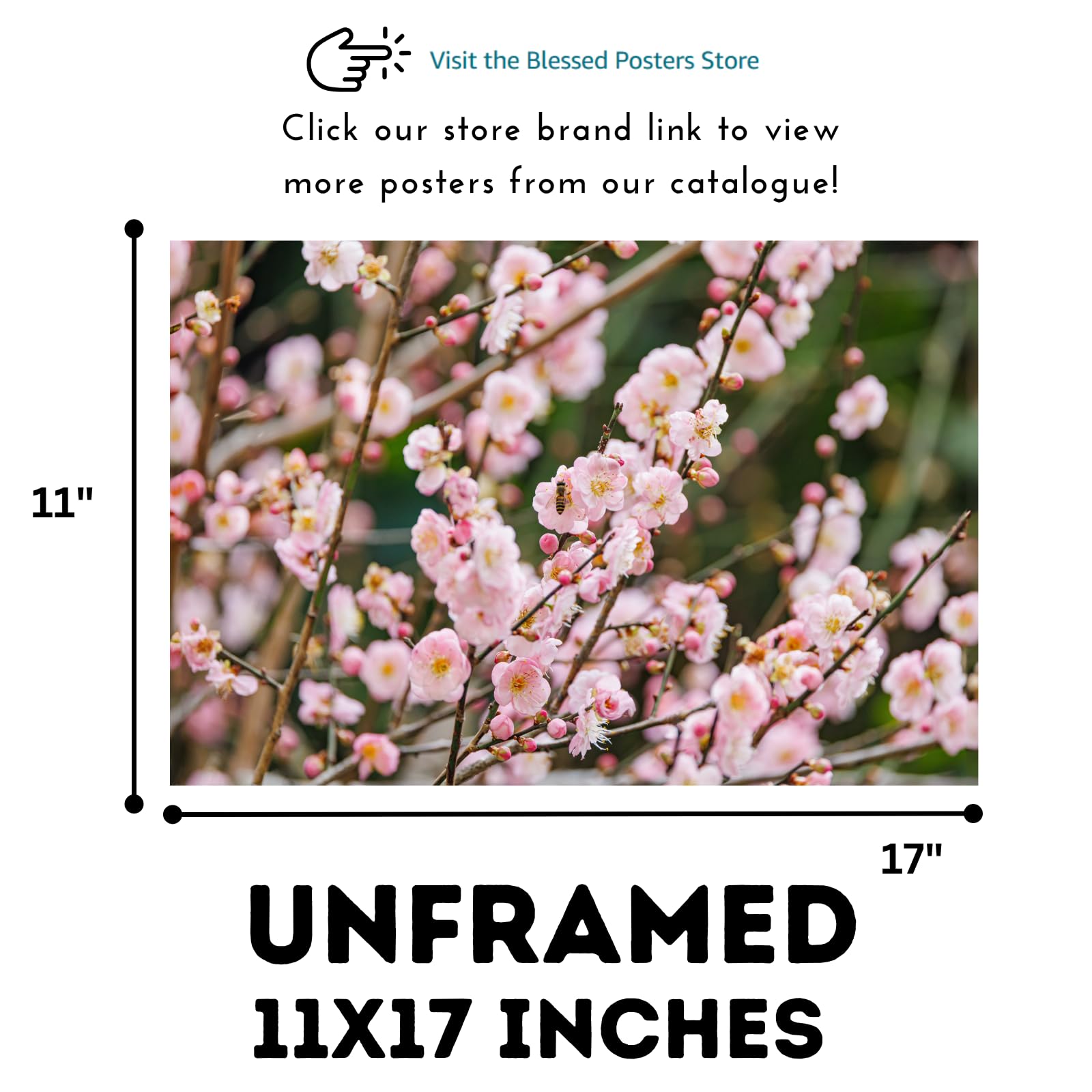 Pink Prunus Poster – Cherry Blossom Botanical Wall Art Print for Home Decor, Living Room, Bedroom, or Office – Elegant Floral Nature Artwork