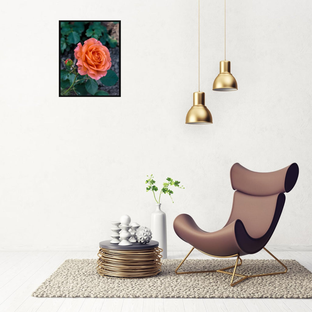 Peach Pink Garden Rose Wall Art Poster – Botanical Floral Print, Romantic Flower Home Decor, Aesthetic Flower Print for Living Room, Bedroom, Office