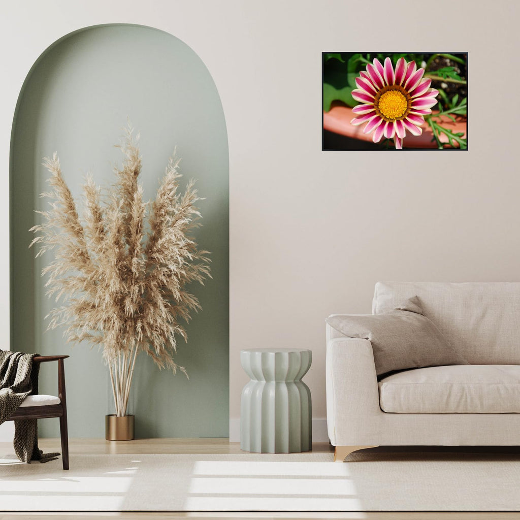 Pale White and Violet Tiger Gazania Flower Wall Art Poster – Botanical Floral Print for Home Decor, Living Room, Bedroom, Office – Aesthetic Nature Artwork