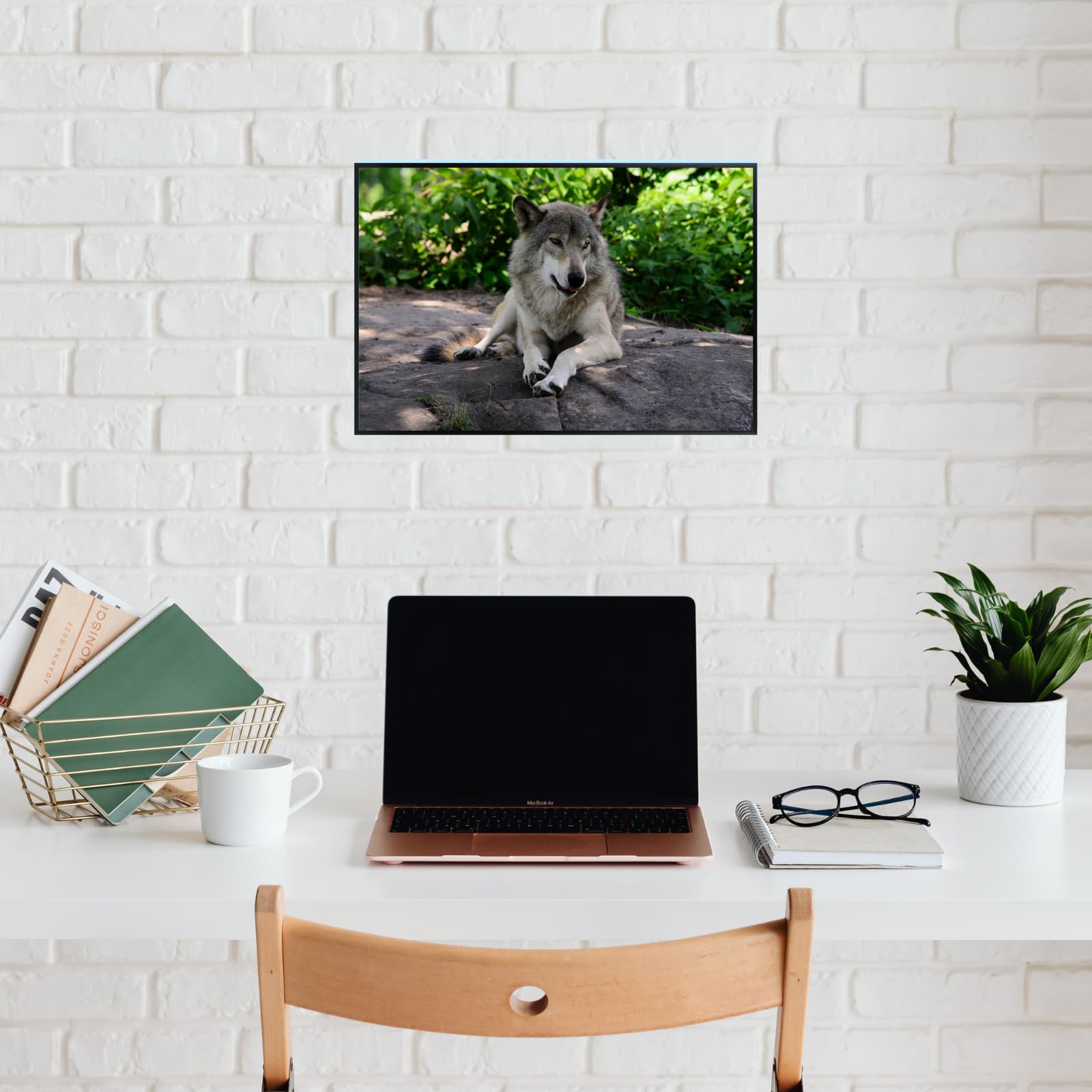 Wolf Canis Lupus Wall Art – Nature Wildlife Poster Print for Home, Living Room, Bedroom, or Office Décor