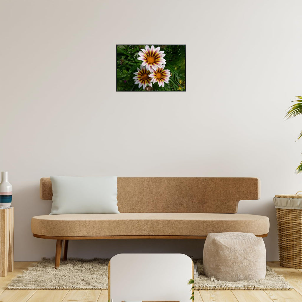 Gazania Flower Poster Treasure Flower Print Botanical Wall Art for Living Room Home Decor