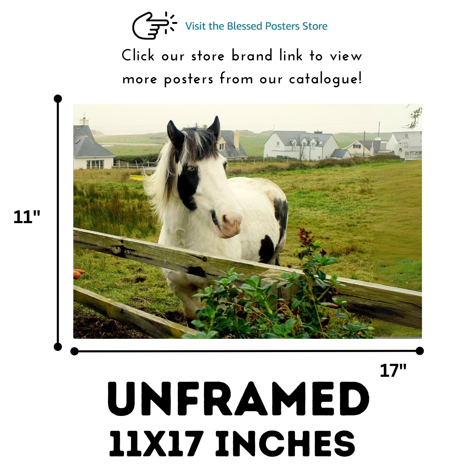White Horse Poster – Elegant Wildlife Wall Art Print for Bedroom, Living Room, Office, Home or Study Décor