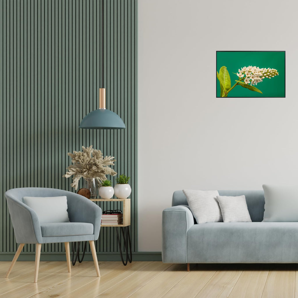 Lysimachia Clethroides Poster – Botanical Wall Art Print for Home Decor, Living Room, Bedroom, or Office – Elegant Floral Nature Artwork