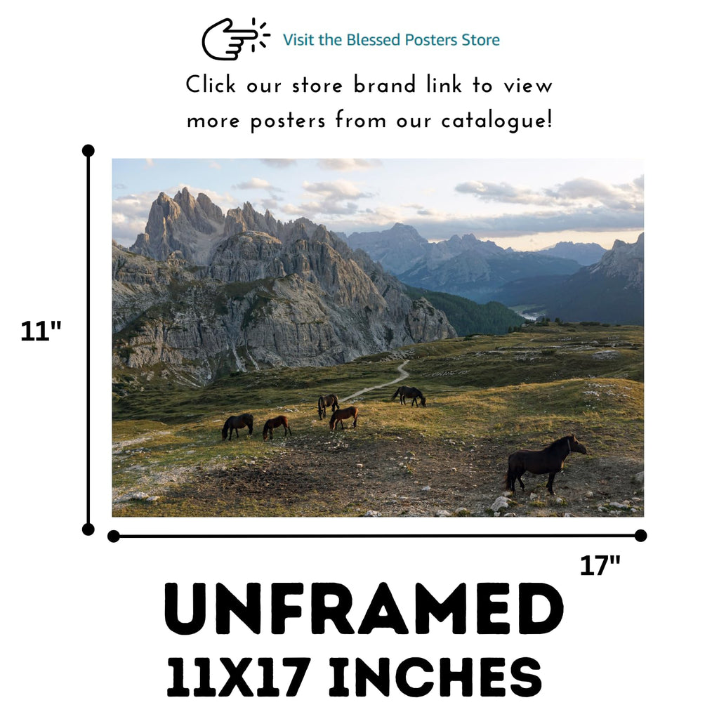 Cime Horses Poster – Nature Wildlife Wall Art Print for Living Room, Bedroom, Office, or Home Decor