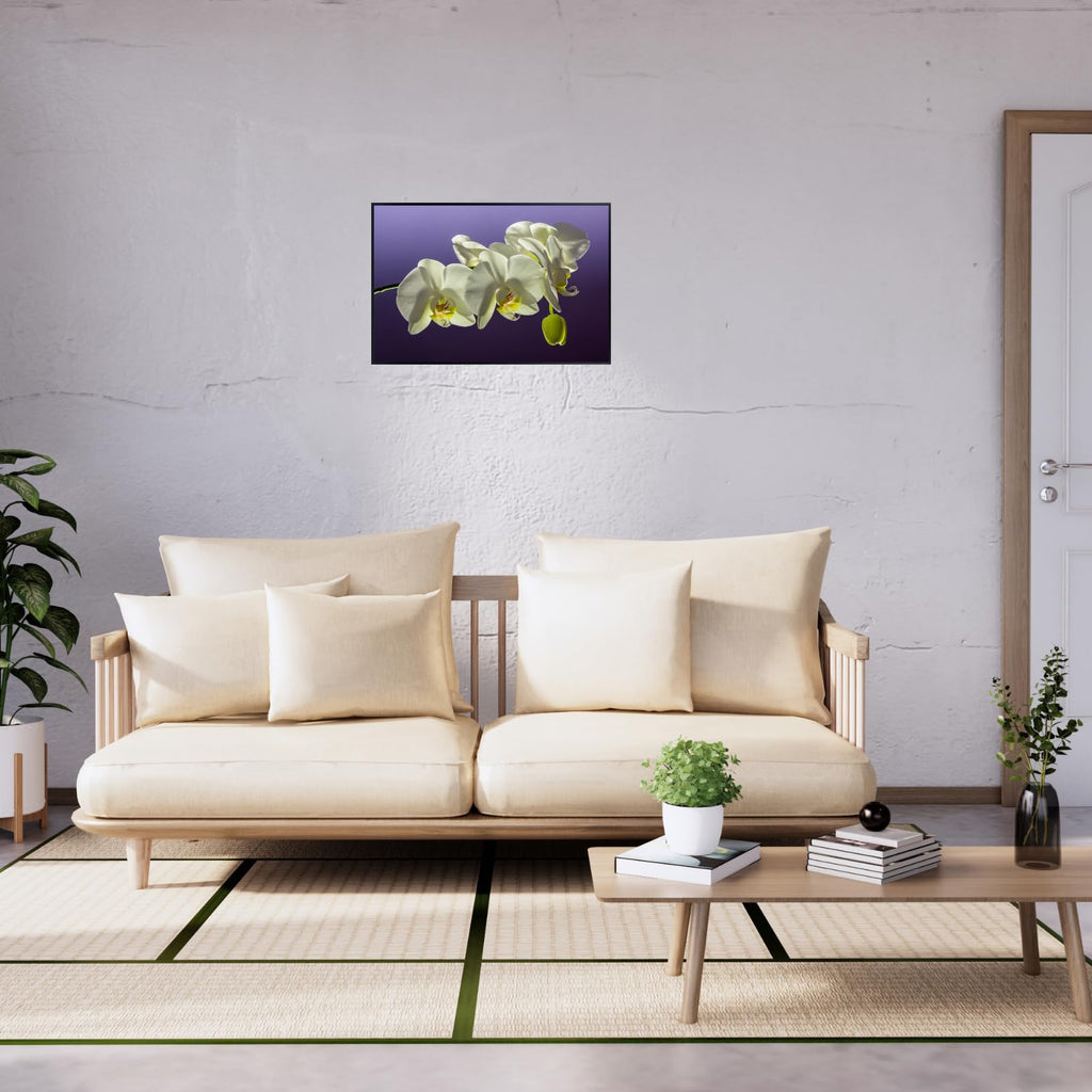 Elegant Phalaenopsis Orchid Wall Art Poster – Home Decor Botanical Print for Living Room, Bedroom, Office Wall Decor