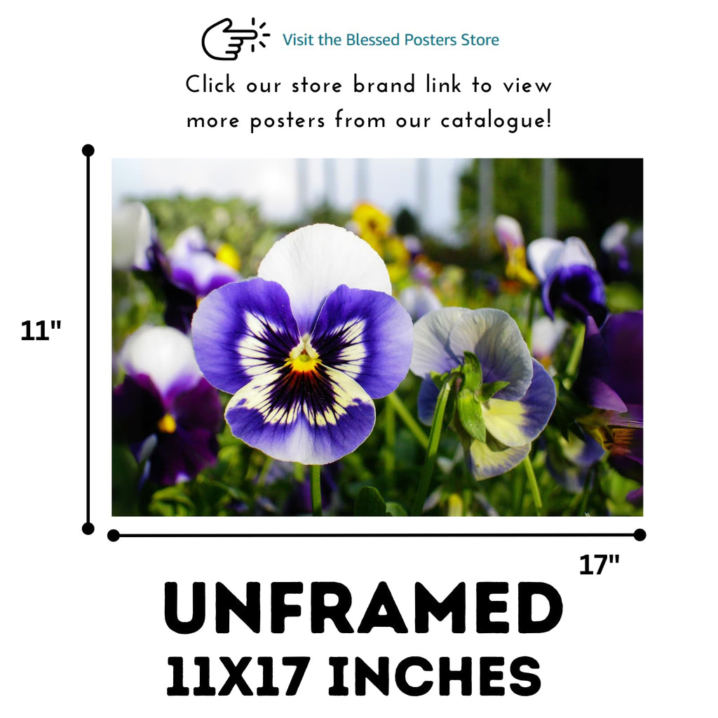Pansy Spring Matrix Poster – Floral Wall Art for Home Decor, Botanical Flower Print, Bedroom & Living Room Wall Decor