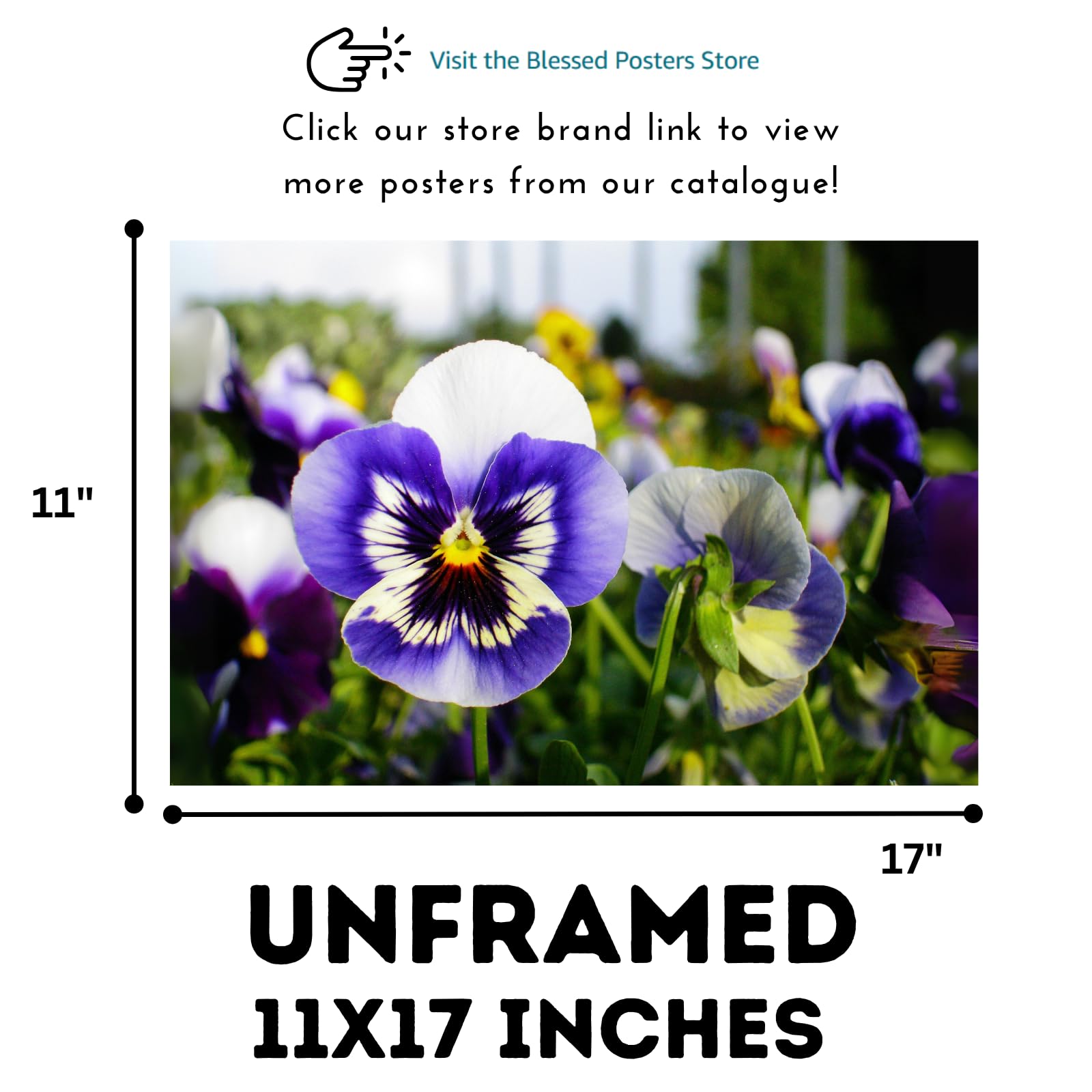 Pansy Spring Matrix Poster – Floral Wall Art for Home Decor, Botanical Flower Print, Bedroom & Living Room Wall Decor