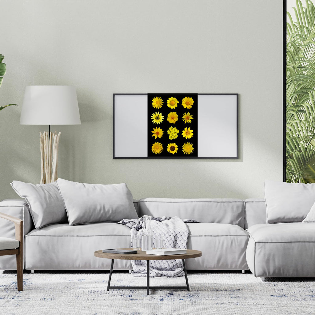 African Daisy Wall Art Poster | Floral Home Decor Print for Living Room, Bedroom, Office | Botanical Flower Art Aesthetic | Modern Nature-Inspired Artwork