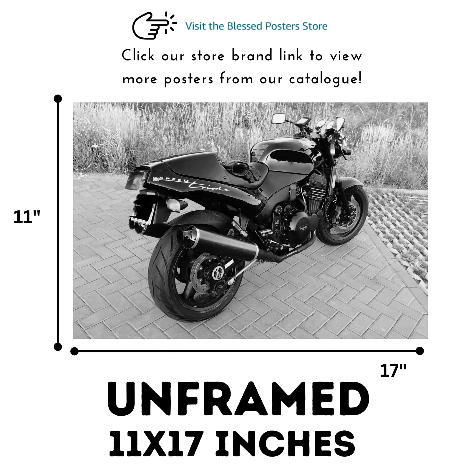 Triumph Speed Triple T300b Motorcycle Poster - Sportbike Wall Decor for Garage, Living Room or Man Cave