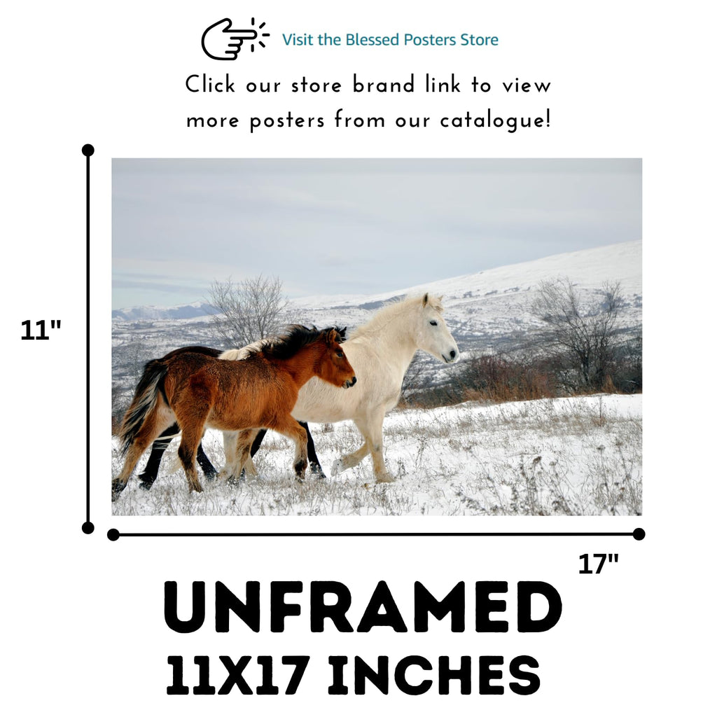 Wild Horses Poster – Scenic Wildlife Nature Wall Art Print for Living Room, Bedroom, Office, Home Decor or Study places