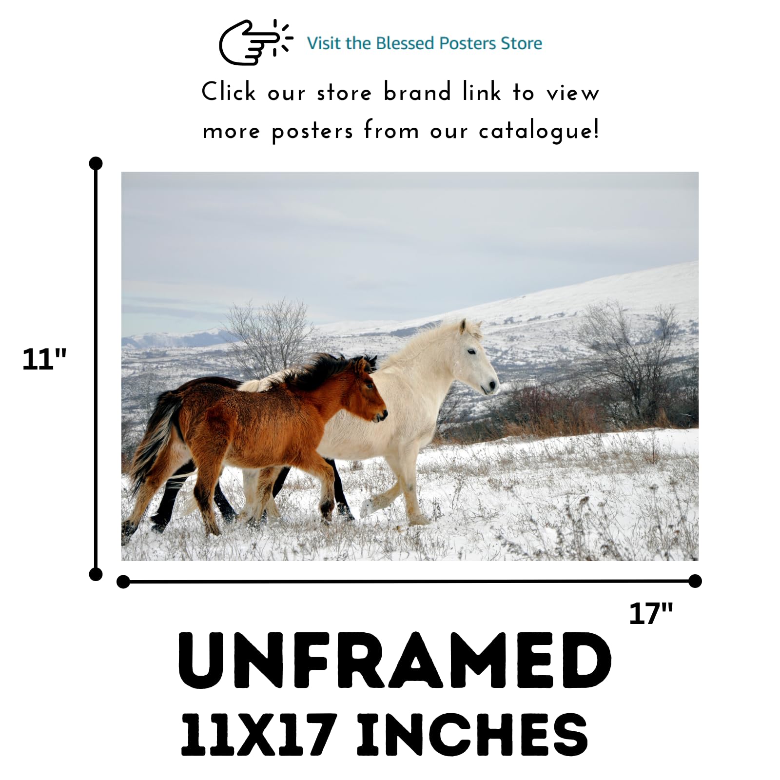 Wild Horses Poster – Scenic Wildlife Nature Wall Art Print for Living Room, Bedroom, Office, Home Decor or Study places