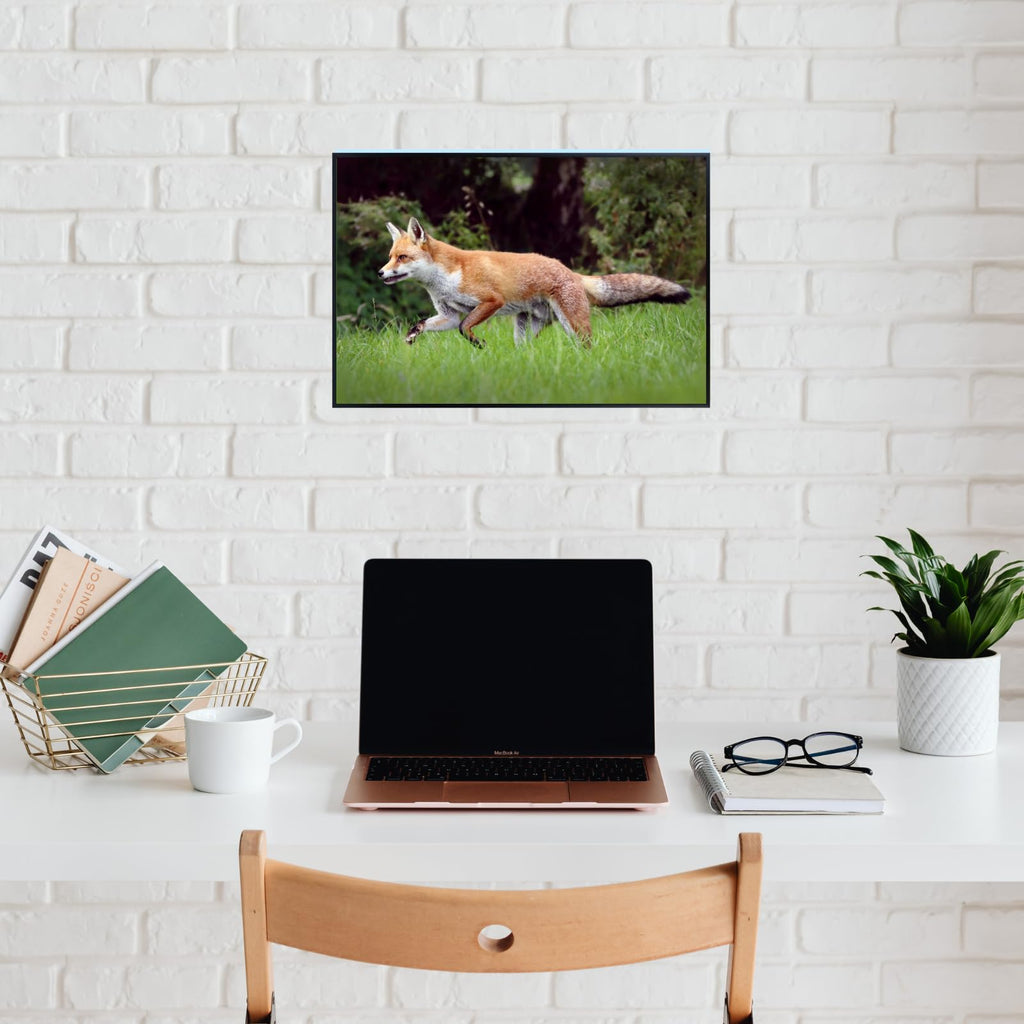 Trot Fox Artwork Poster – Wilderness Nature Wall Art Print for Home decor, Office, Bedroom, or Study Spaces