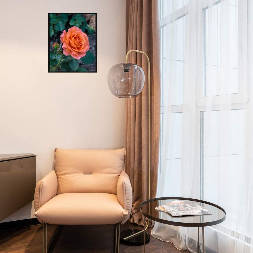 Peach Pink Garden Rose Wall Art Poster – Botanical Floral Print, Romantic Flower Home Decor, Aesthetic Flower Print for Living Room, Bedroom, Office