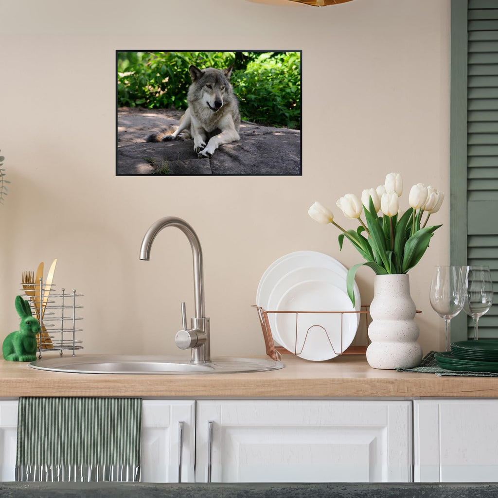 Wolf Canis Lupus Wall Art – Nature Wildlife Poster Print for Home, Living Room, Bedroom, or Office Décor