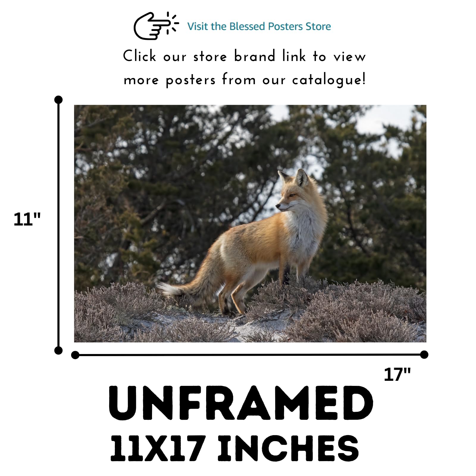 Red Fox Wall Art – Rustic Wildlife Poster Print for Living Room, Bedroom, Office, or Study Décor