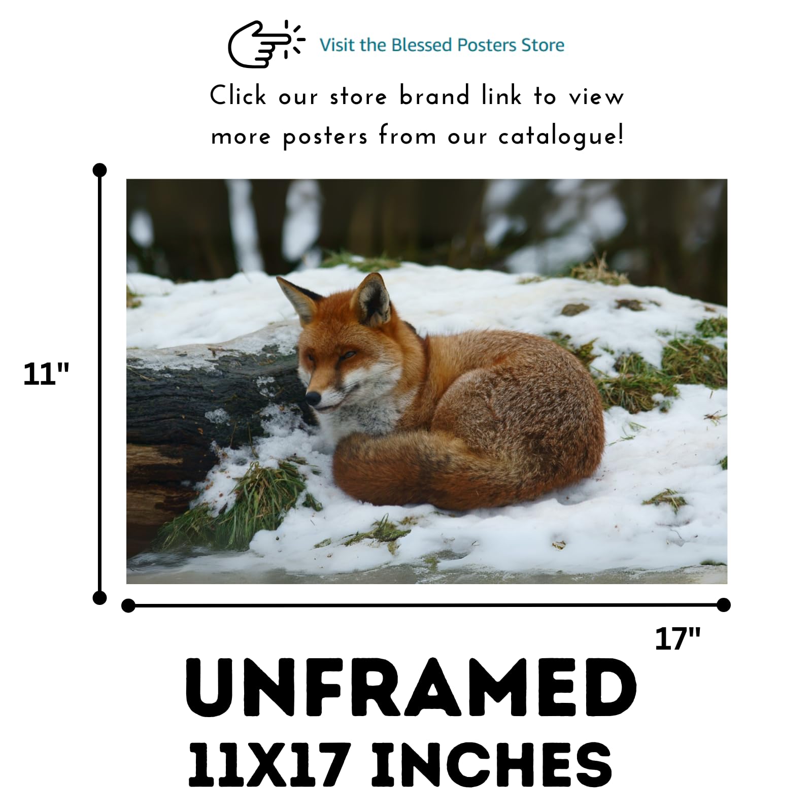 Snow Fox Poster – Wildlife Nature Wall Art Print for Bedroom, Living Room, Office, or Study Décor
