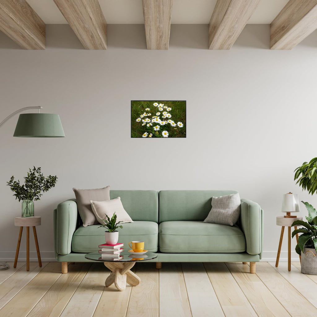 Coltsfoot Botanical Wall Art Poster | Natural Plant Illustration Home Decor Wall Art Print for Living Room, Bedroom & Office