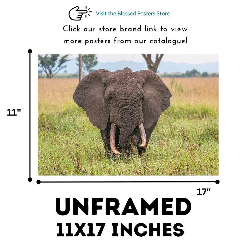 African Elephant Wall Art – Wildlife Animal Canvas Print – Safari Home Decor for Living Room, Bedroom, Kids Room – Gifts for Animal Lovers