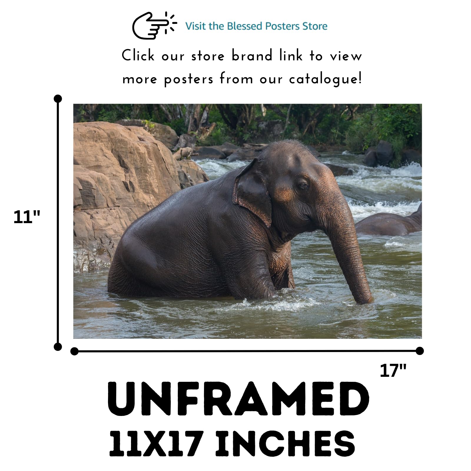 Asian Elephant Poster Wall Art Print – Wildlife Animal Decor for Living Room, Bedroom, or Office