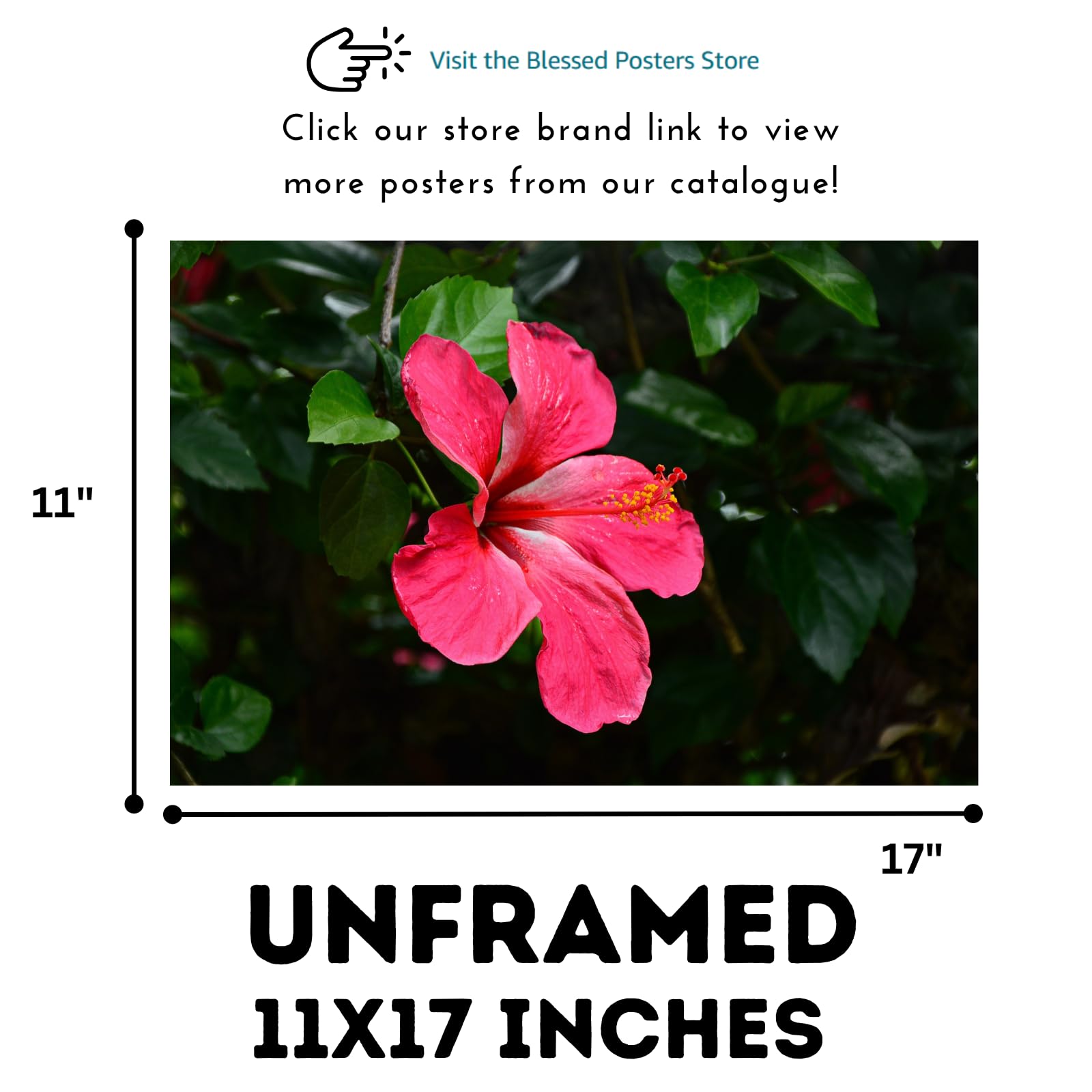 Hibiscus Flower Poster – Botanical Wall Art Print for Home Decor, Living Room, Bedroom, or Office – Elegant Floral Nature Artwork