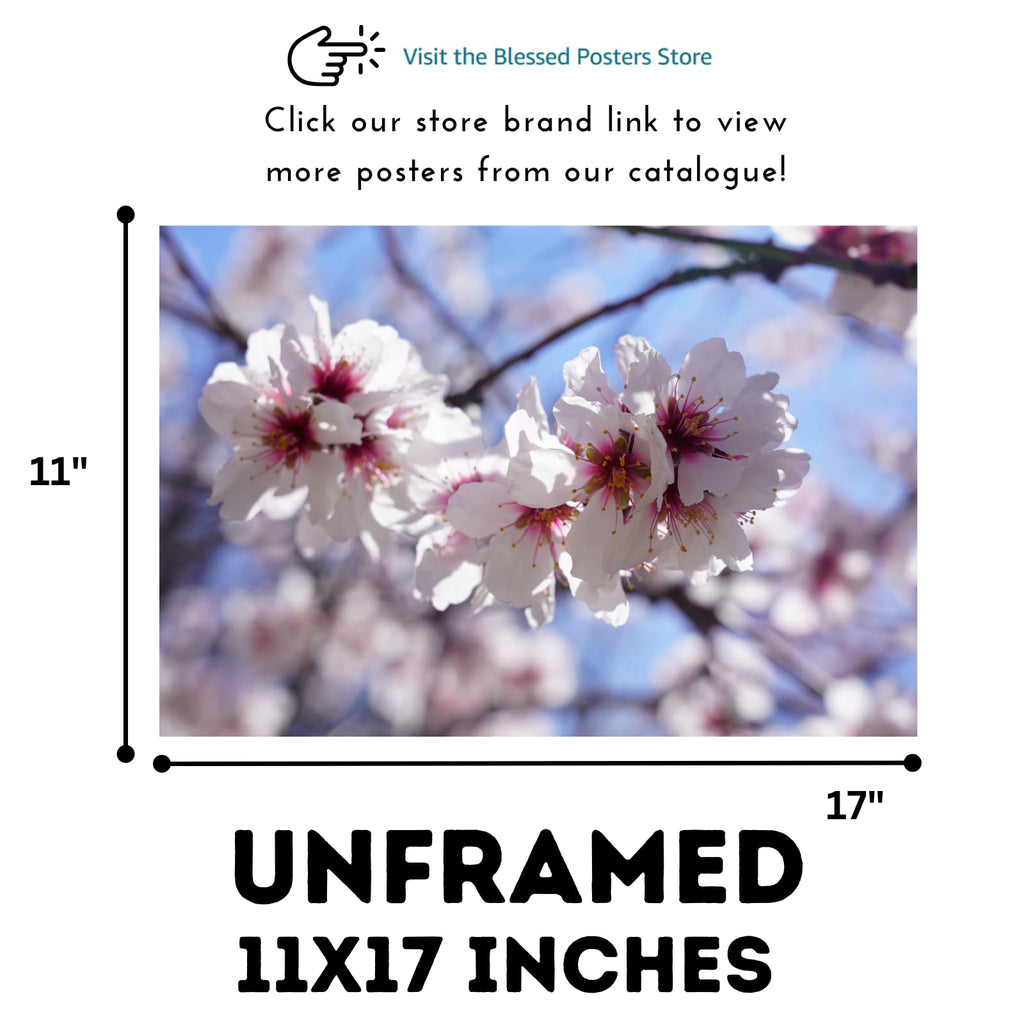 Cherry Blossom Wall Art Poster – Botanical Floral Print, Elegant Nature-Inspired Home Decor for Living Room, Bedroom, or Office