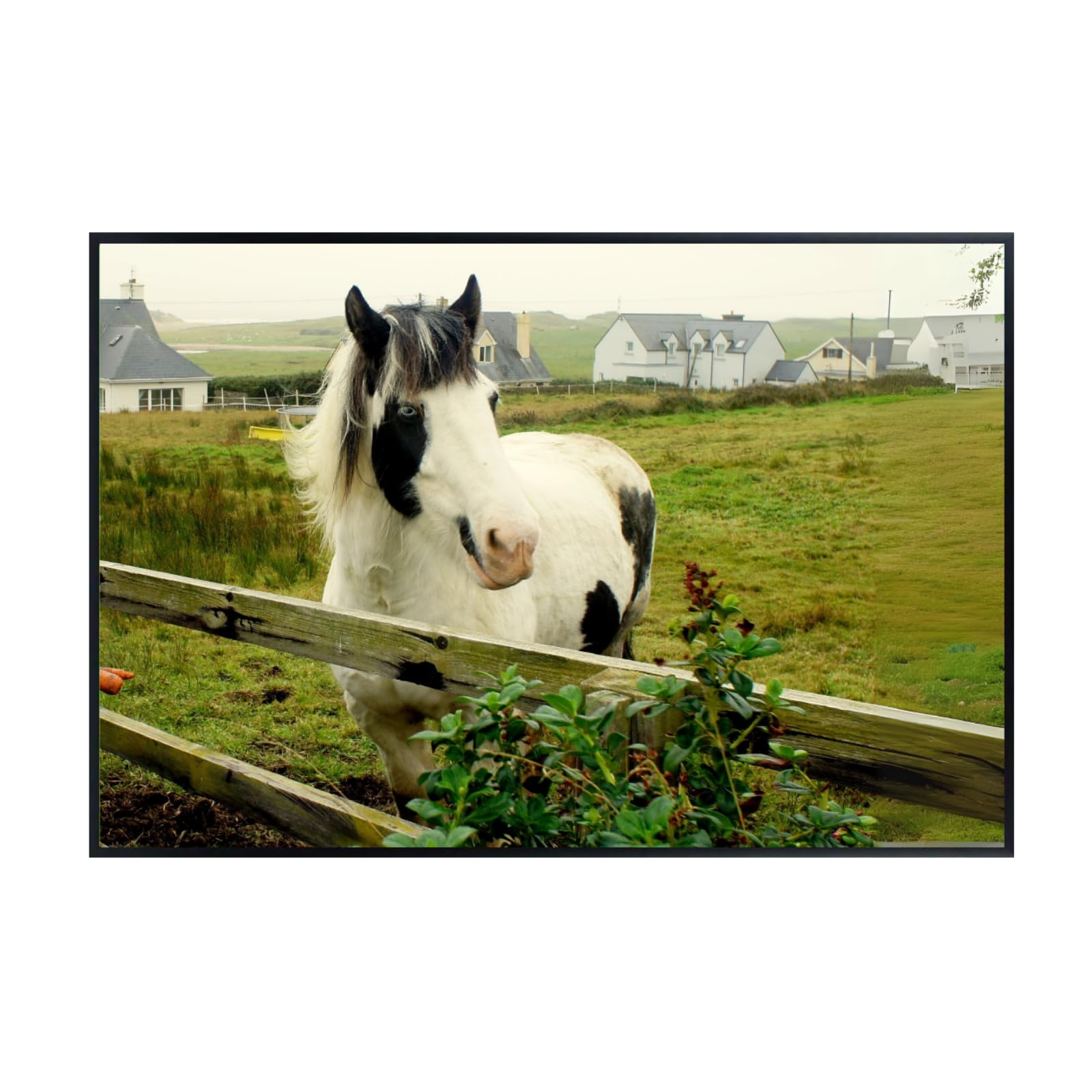 White Horse Poster – Elegant Wildlife Wall Art Print for Bedroom, Living Room, Office, Home or Study Décor