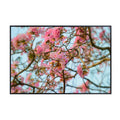 Tabebuia Rosea Wall Art Poster – Botanical Flower Print for Home Decor, Nature-Inspired Floral Art for Living Room, Bedroom, or Office – Elegant Botanical Poster