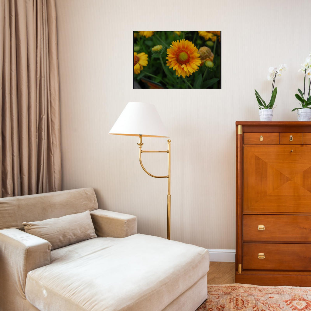 Gaillardia ‘Gallo Peach’ Wall Art Poster – Botanical Flower Print, Vibrant Floral Home Decor for Living Room, Bedroom, or Office