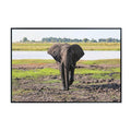 Elephant Artwork Poster – National Park Safari Scene for Living Room, Office, or Bedroom Wall Décor