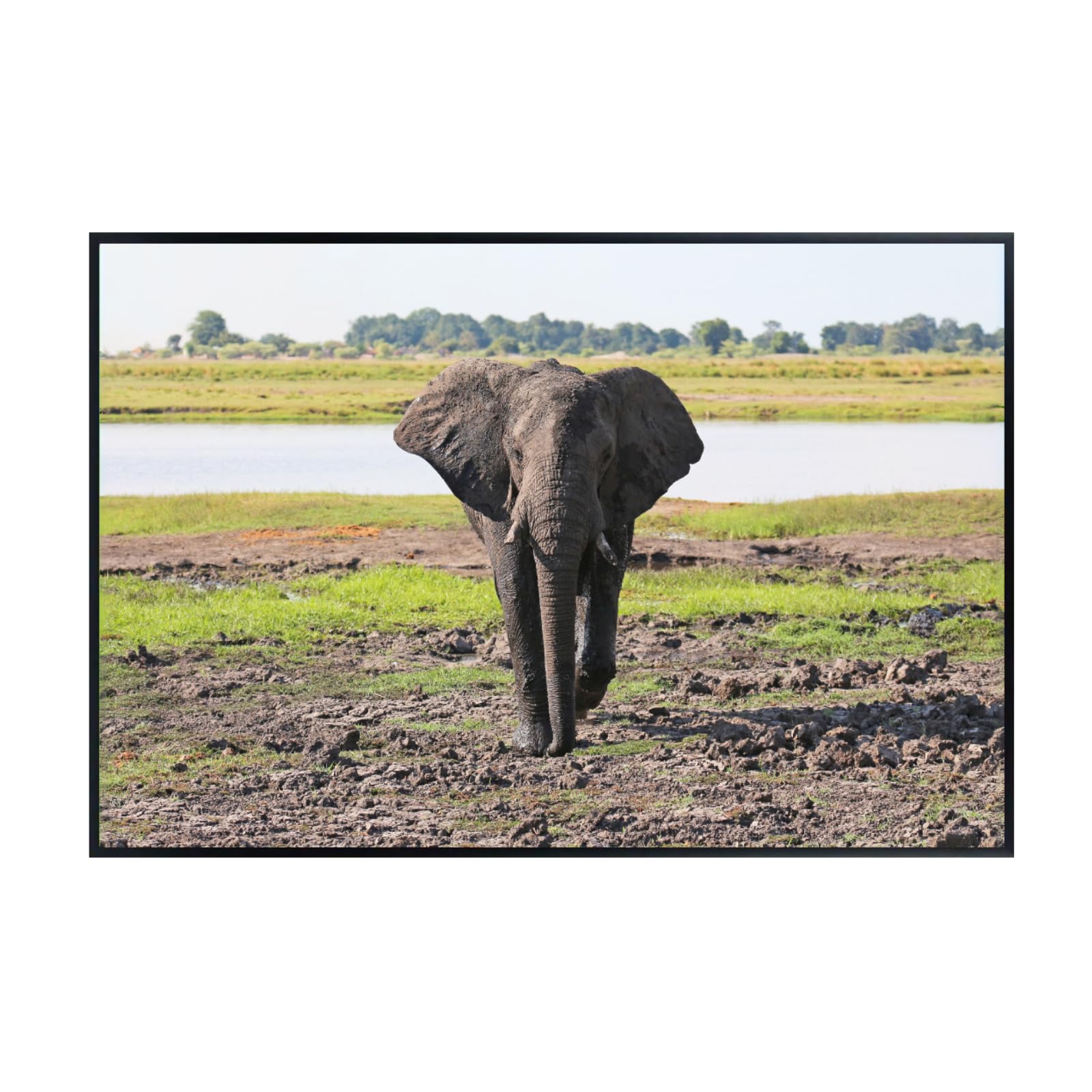 Elephant Artwork Poster – National Park Safari Scene for Living Room, Office, or Bedroom Wall Décor