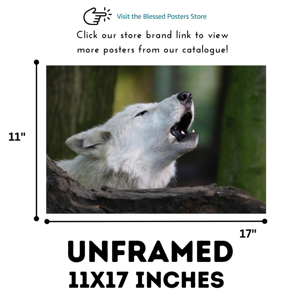 Howling Wolf Artwork – Wildlife Poster Print for Bedroom, Living Room, Office, or Home Décor
