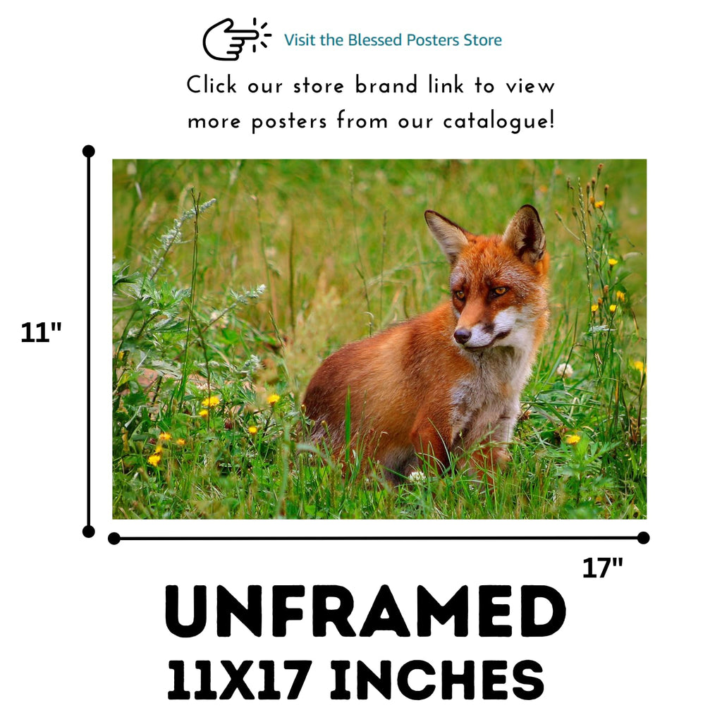 Wildlife Rod Raev Fox Poster – Nature Wall Art Print for Home, Office, Bedroom, or Study Spaces
