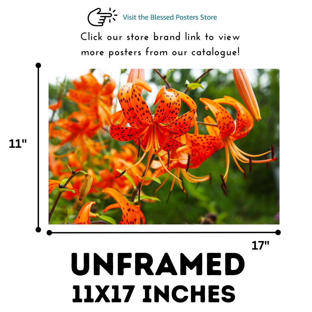 Tiger Lily Flower Poster – Botanical Wall Art for Home Decor, Nature Print, Floral Artwork for Bedroom, Living Room, Office